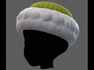 Cap V70 3D-Modell