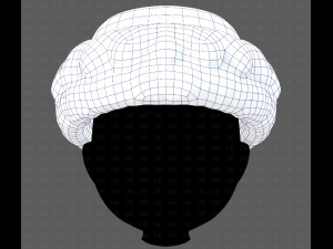 Cap V70 3D-Modell