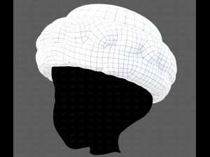 Cap V70 3D-Modell