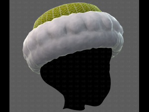 Cap V70 3D-Modell