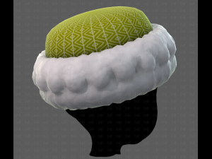 Cap V70 3D-Modell