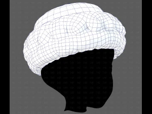 Dop V70 3D Model