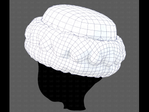 Cap V70 3D-Modell