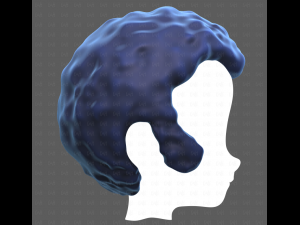 Base Hair for Boy V59 3D Модель