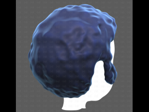 Base Hair for Boy V59 3D Модель
