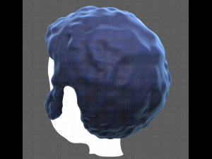 Base Hair for Boy V59 3D Модель