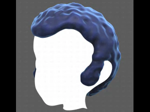 Base Hair for Boy V59 3D Model