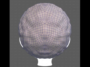 Base Hair for Boy V59 3D Model