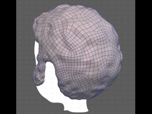 Base Hair for Boy V59 3D Модель