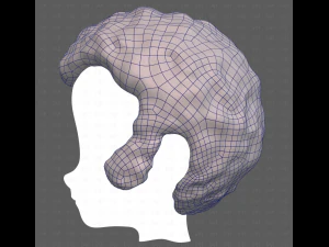 Base Hair for Boy V59 3D Model