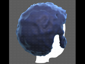 Base Hair for Boy V59 3D Модель