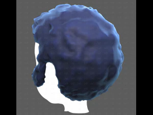 Base Hair for Boy V59 3D Model