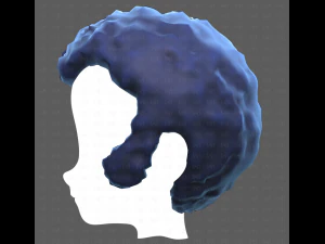 Base Hair for Boy V59 3D Model