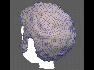 Base Hair for Boy V59 3D Модель
