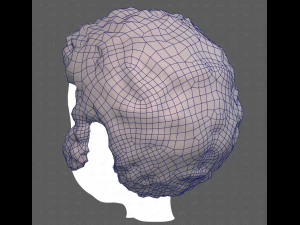 Base Hair for Boy V59 3D Model