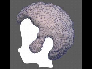 Base Hair for Boy V59 3D Model