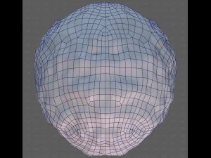 Base Hair for Boy V59 3D Model
