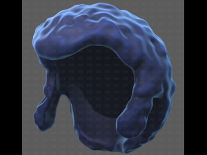 Base Hair for Boy V59 3D Модель