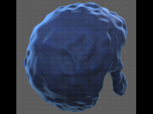Base Hair for Boy V59 3D Модель