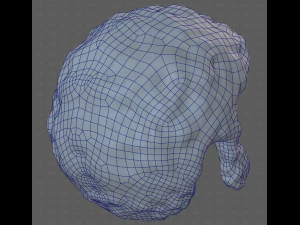 Base Hair for Boy V59 3D Model