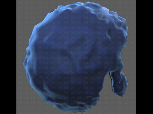 Base Hair for Boy V59 3D Модель