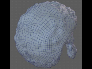 Base Hair for Boy V59 3D Model