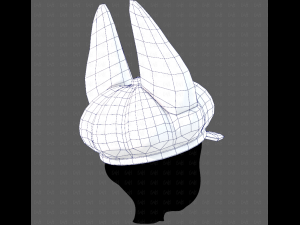 Cap V72 3D Model