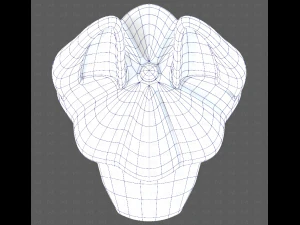 Bon&eacute; V72 Modelo 3D