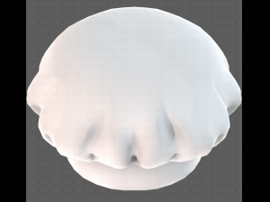 Cap V73 3D 模型