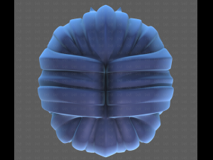 Base Hair for Boy V60 3D Model