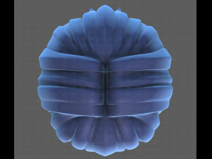 Base Hair for Boy V60 3D Model