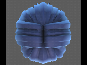 Base Hair for Boy V60 3D Model