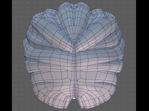 Base Hair for girl V60 3D Model