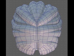 Base Hair for girl V60 3D Model