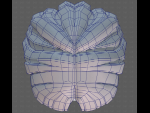 Base Hair for girl V60 3D Model