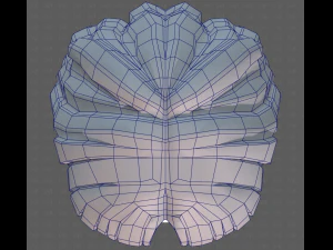 Base Hair for girl V60 3D Model