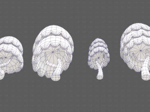 Trees Cartoon V55 3D Model
