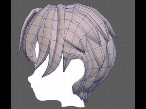 Base Hair for Boy V61 3D Model