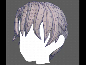 Base Hair for Boy V61 3D Model