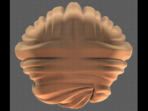 Base Hair for girl V61 3D Model