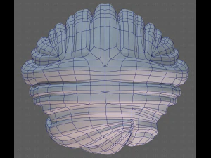 Base Hair for girl V61 3D Model