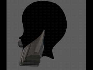 Beard V61 Model 3D