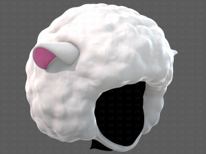 Cap V76 3D Model