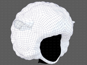 Cap V76 3D Model