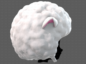 Cap V76 3D Model
