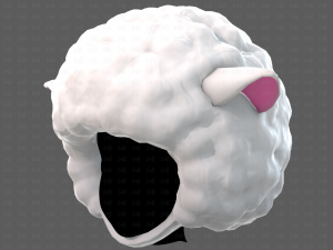 Cap V76 3D Model