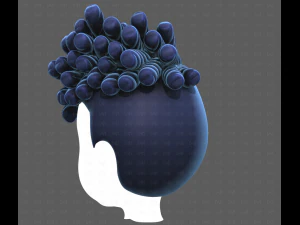 Base Hair for Boy V62 3D Model