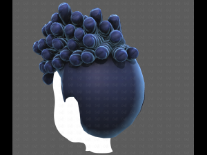 Base Hair for Boy V62 3D Модель