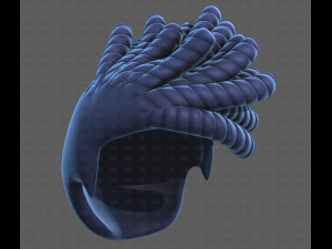 Base Hair for Boy V62 3D Модель