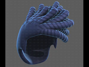Base Hair for Boy V62 3D Model
